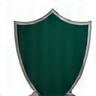Shield icon representing integrity